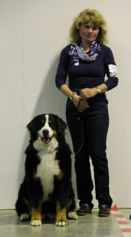 Elfi an der Internationalen Hundeausstellung in St. Gallen 2014