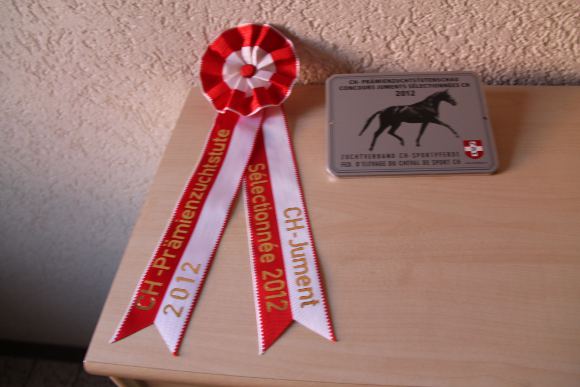 CH-Prämienzuchtstutenschau Avenches