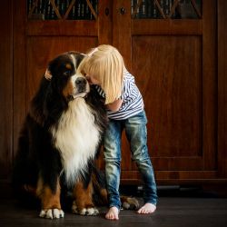 Dicke Freunde - Anna und Maloney vom Hübelihof