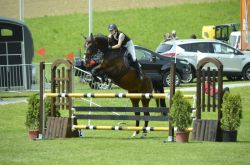 Eine weitere Nullfehlerrunde für Lord Locksley vom Hübelihof und seine Besitzerin.