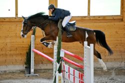 Argentino vom Hübelihof